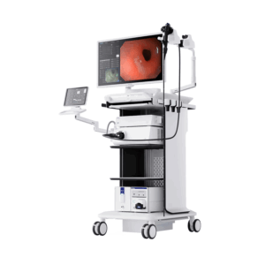 Flexible Endoscopy Systems